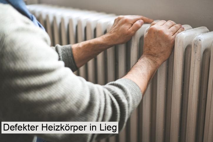 Defekter Heizkörper in Lieg